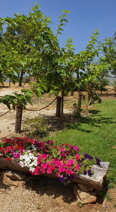 Casa Rural Las Traviesas カンデレダ エクステリア 写真